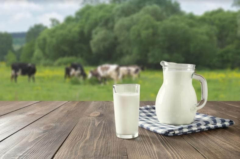 Чи буде прибутковим виробництво молока? Mizez