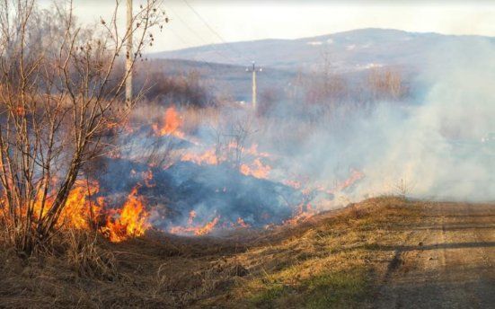 Кабмін планує збільшити штрафи за підпали трави Mizez