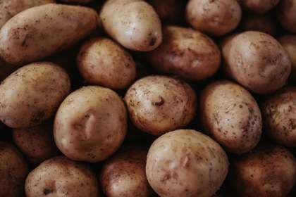 Картофельный бизнес: прогноз на 2020 год