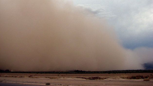 Песчаная буря замела поля на Черниговщине | MIZEZ