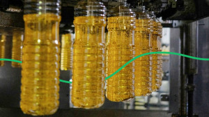 Експерти назвали найбільших українських експортерів соняшникової олії
