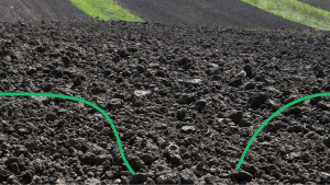 Исследование почвы для высокой урожайности: в чем польза?