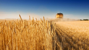 Швейцария будет поддерживать украинских аграриев