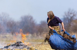 Спалювання трави і листя: шкода для довкілля та людей, штрафи і міфи